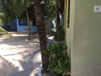 Outdoor Pictures 9