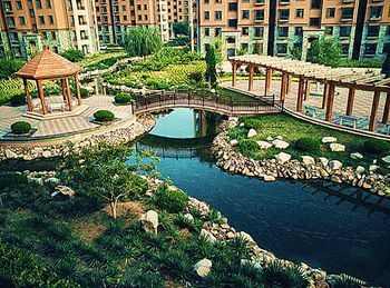 Outdoor Pictures 5