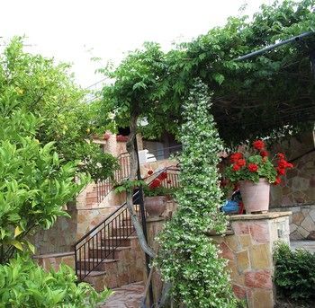 Zakynthos Traditional Villa