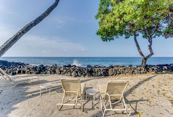 Kona Isle D31 - One Bedroom Condo