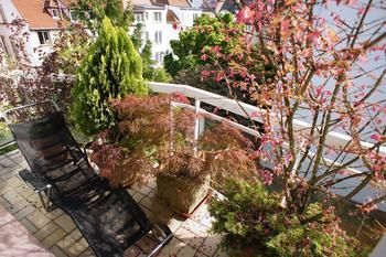 Outdoor Pictures 23
