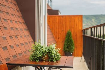 Outdoor Pictures 24