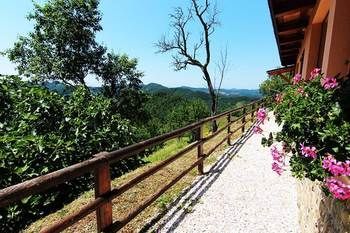 Outdoor Pictures 22