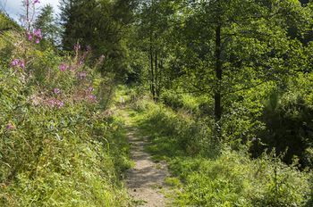 Outdoor Pictures 21