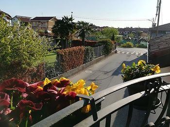 Outdoor Pictures 24