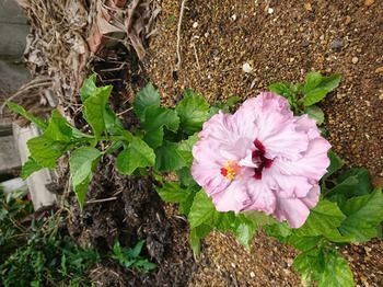 Outdoor Pictures 21