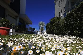 Outdoor Pictures 13