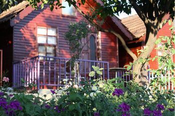 Outdoor Pictures 22