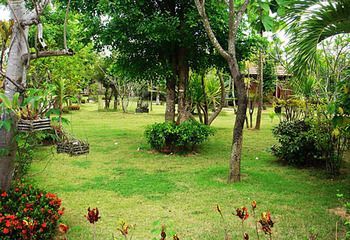 Outdoor Pictures 20