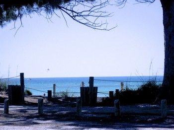 Outdoor Pictures 8