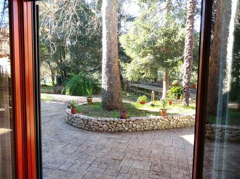 Outdoor Pictures 19