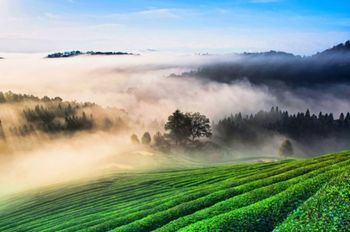 Outdoor Pictures 22