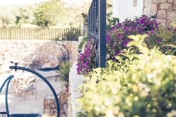Outdoor Pictures 24