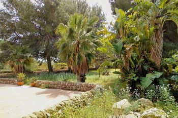 Outdoor Pictures 22