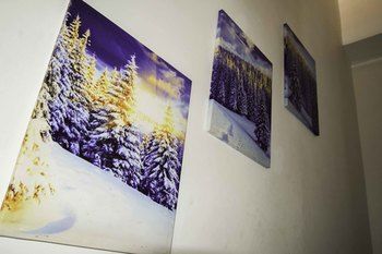 Outdoor Pictures 21
