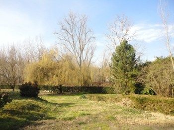 Outdoor Pictures 22
