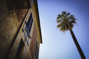 Outdoor Pictures 23