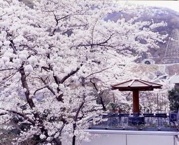 Unazuki Onsen Hotel Kurobe