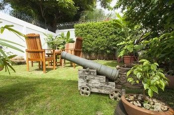 Outdoor Pictures 16