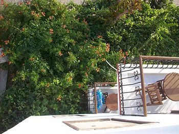 Outdoor Pictures 24