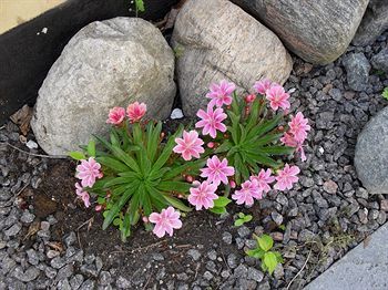 Outdoor Pictures 14