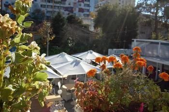 Outdoor Pictures 24