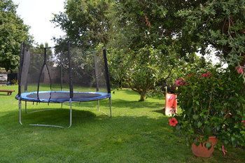 Outdoor Pictures 6