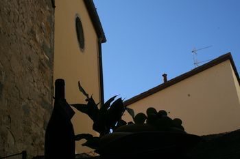 Outdoor Pictures 8