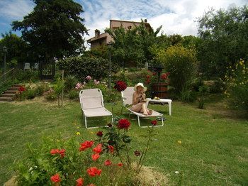 Outdoor Pictures 7