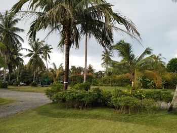 Outdoor Pictures 15