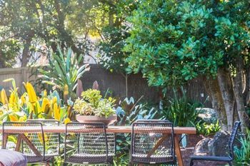 Outdoor Pictures 20