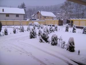 Outdoor Pictures 24