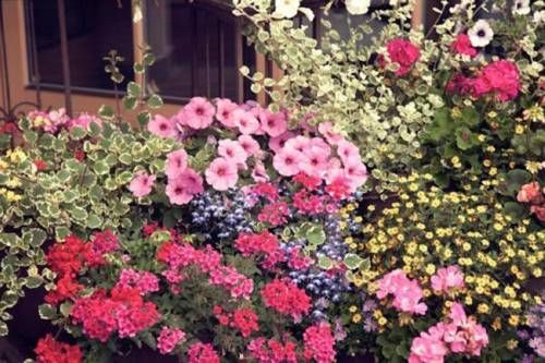 Outdoor Pictures 20