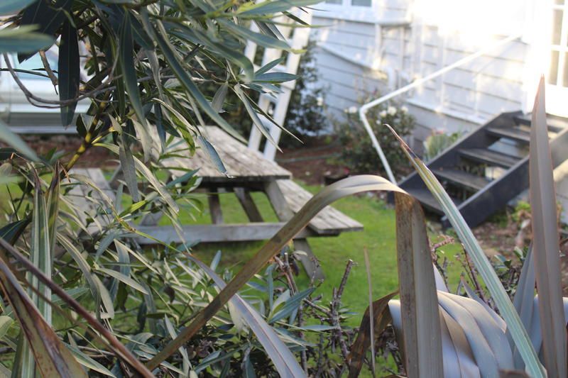 Outdoor Pictures 11