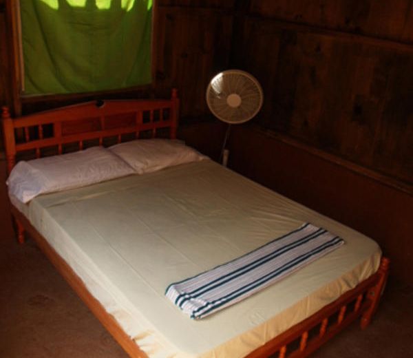 OSA MARIPOSA