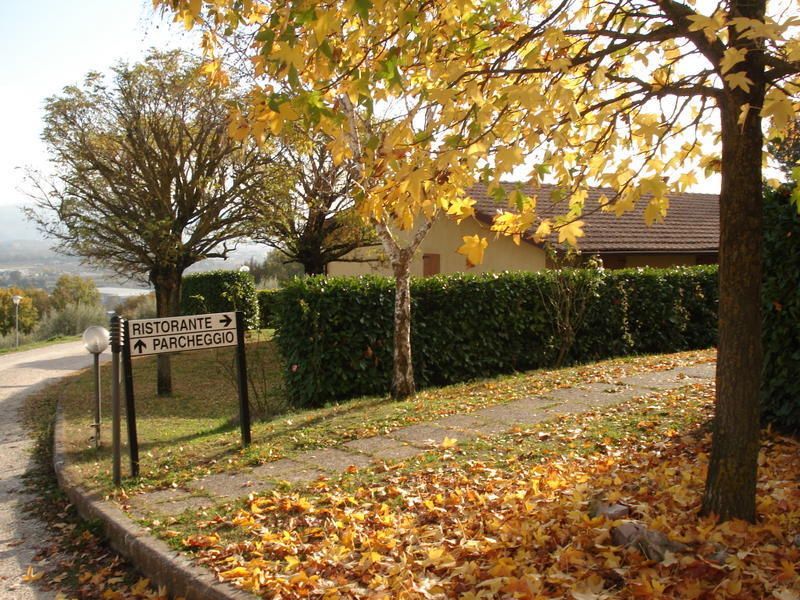 Outdoor Pictures 10