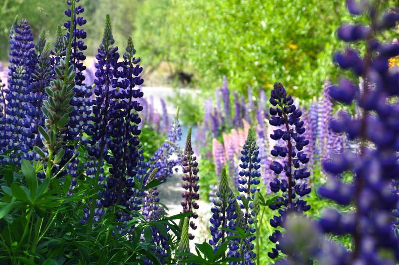 Outdoor Pictures 15