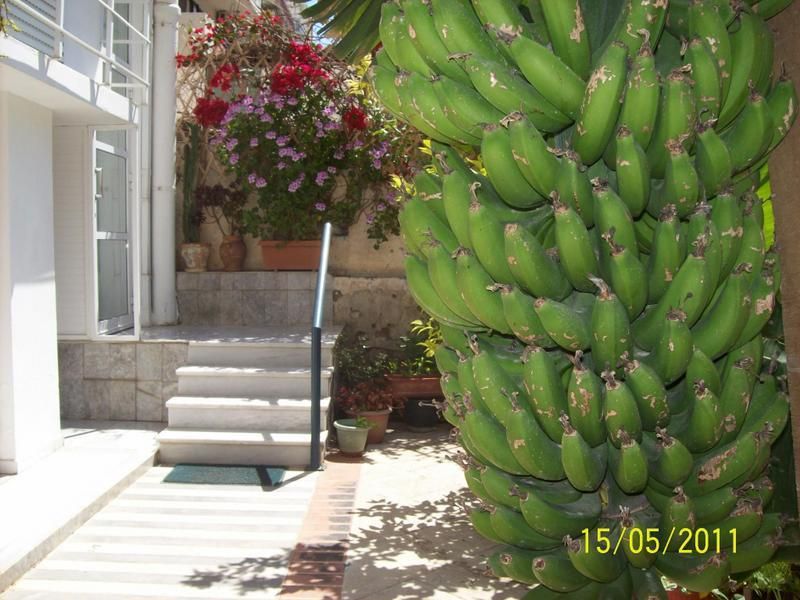 Outdoor Pictures 17