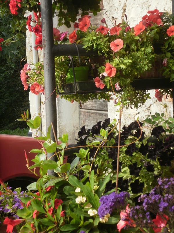 Outdoor Pictures 20