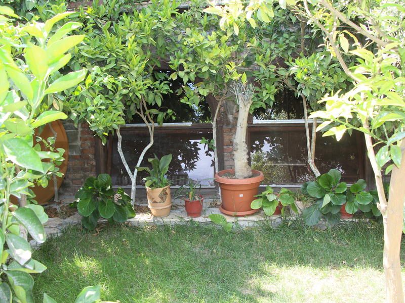 Outdoor Pictures 20
