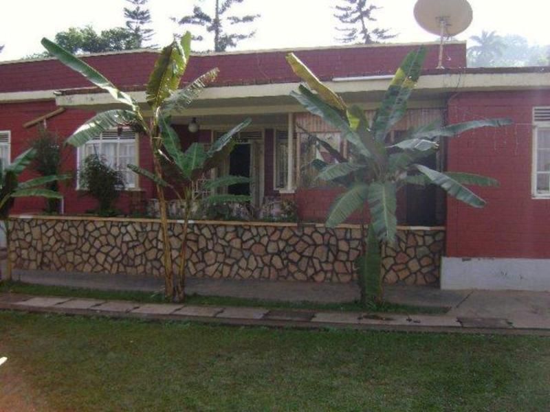 Outdoor Pictures 1