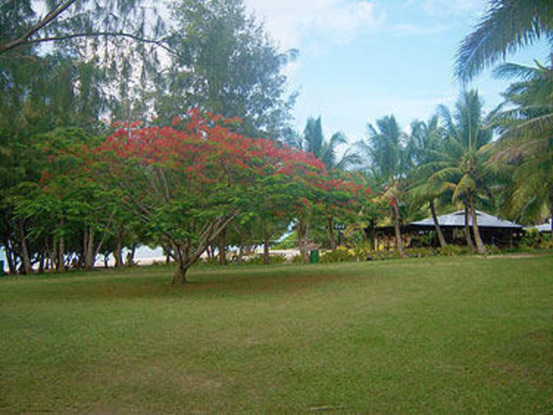Outdoor Pictures 13