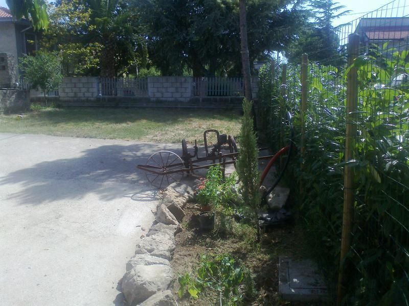Outdoor Pictures 9