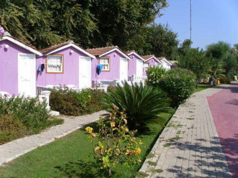 Outdoor Pictures 1