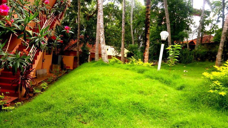 Outdoor Pictures 21