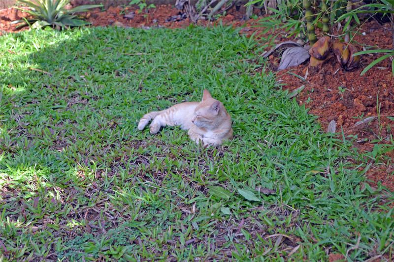 Outdoor Pictures 23