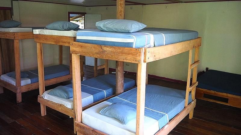 Cabinas Tortuguero