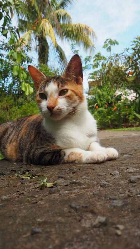 Outdoor Pictures 22