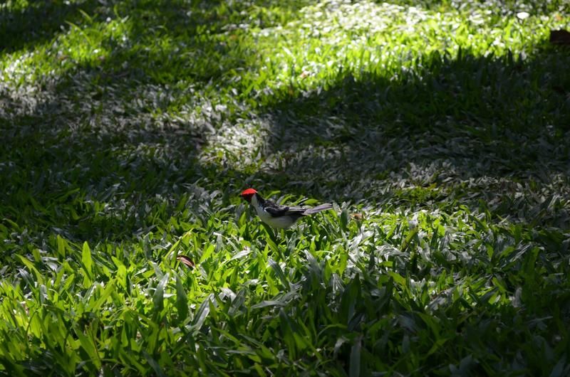 Outdoor Pictures 22