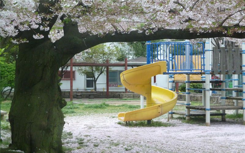 Outdoor Pictures 19
